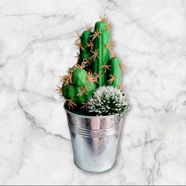 WhatsApp Image 2025-04-04 at 14.00.50 LY-76820 Arreglo Cactus en Jarro Metálico